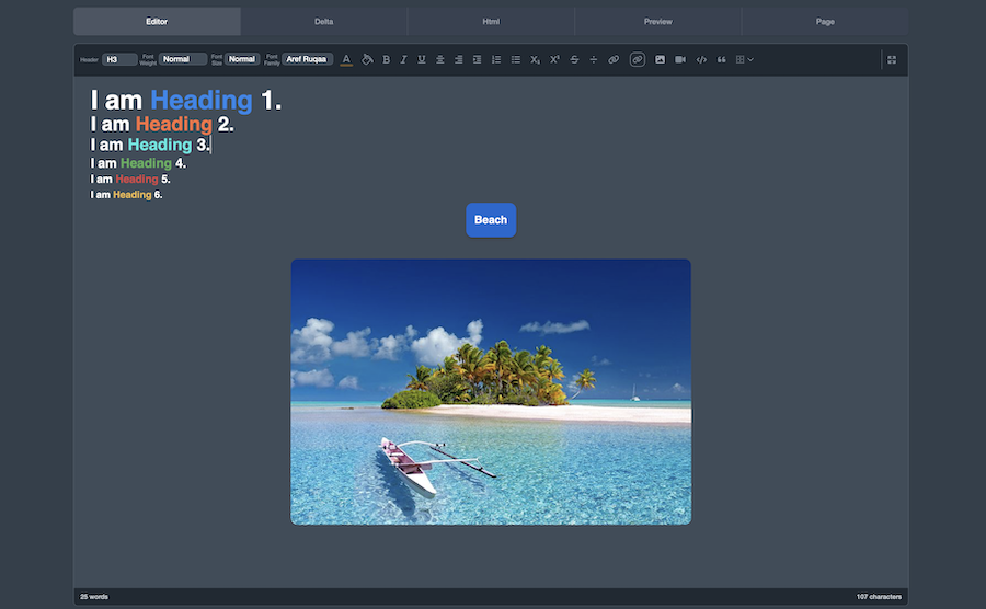 dark editor img
